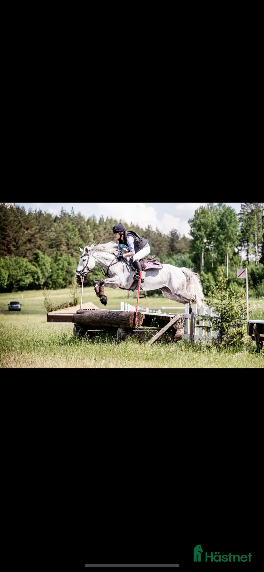Hoppning hästar till salu: Underbar D-ponny med power i Västerås - Annons 1