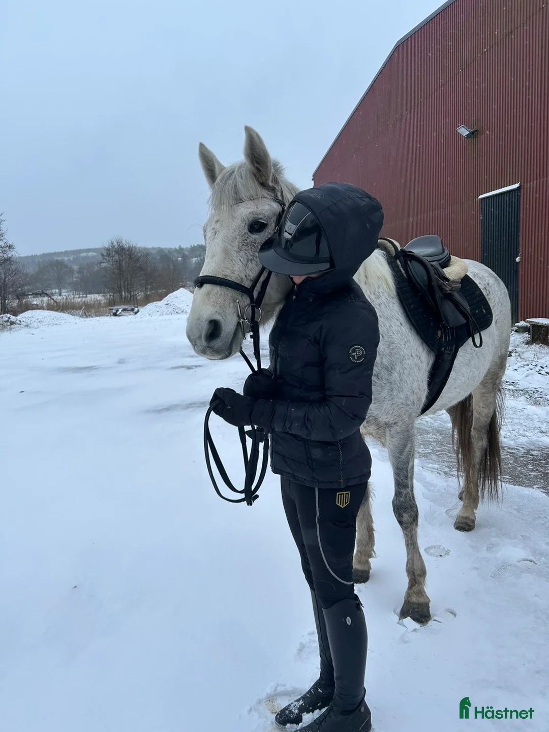 Galleribild {{count}}