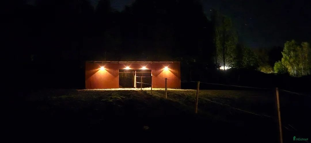  stallplats finnes: Lediga platser lösdrift/stall  - Annons 3