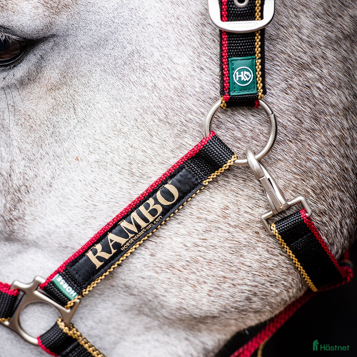 Övrig Hästutrustning hästutrustning Grimma från Horseware stl pony - Annons 2