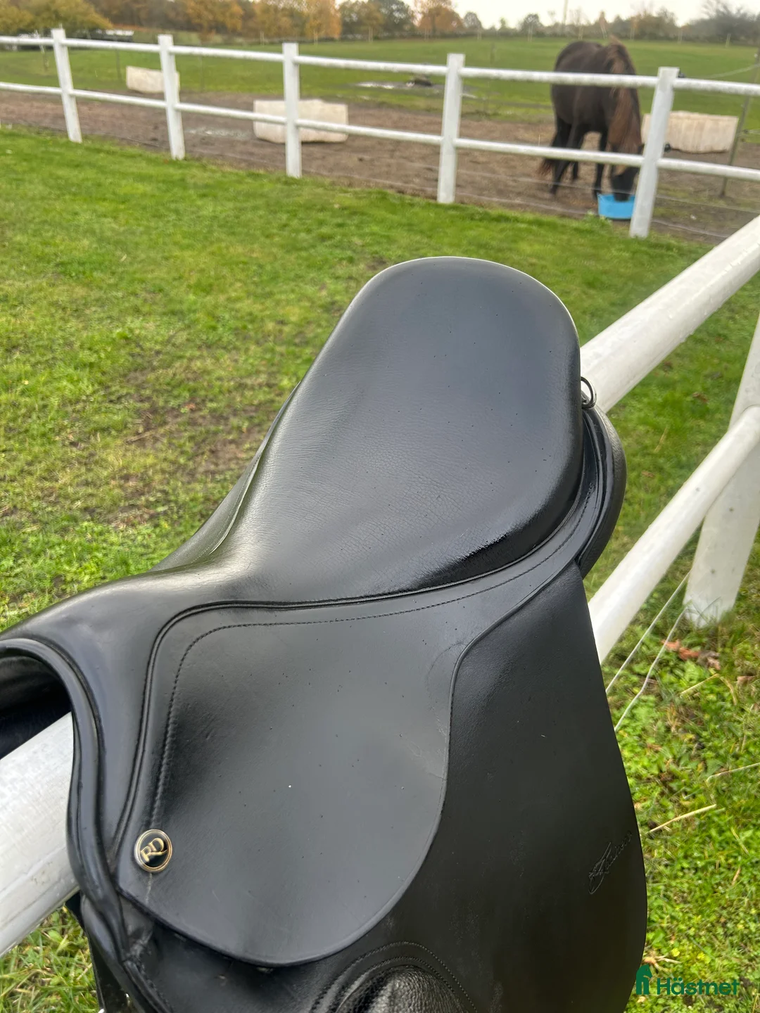 Sadlar hästutrustning till salu: Trainer’s Dressyr/islands sadel  i Kristianstad - Annons 2