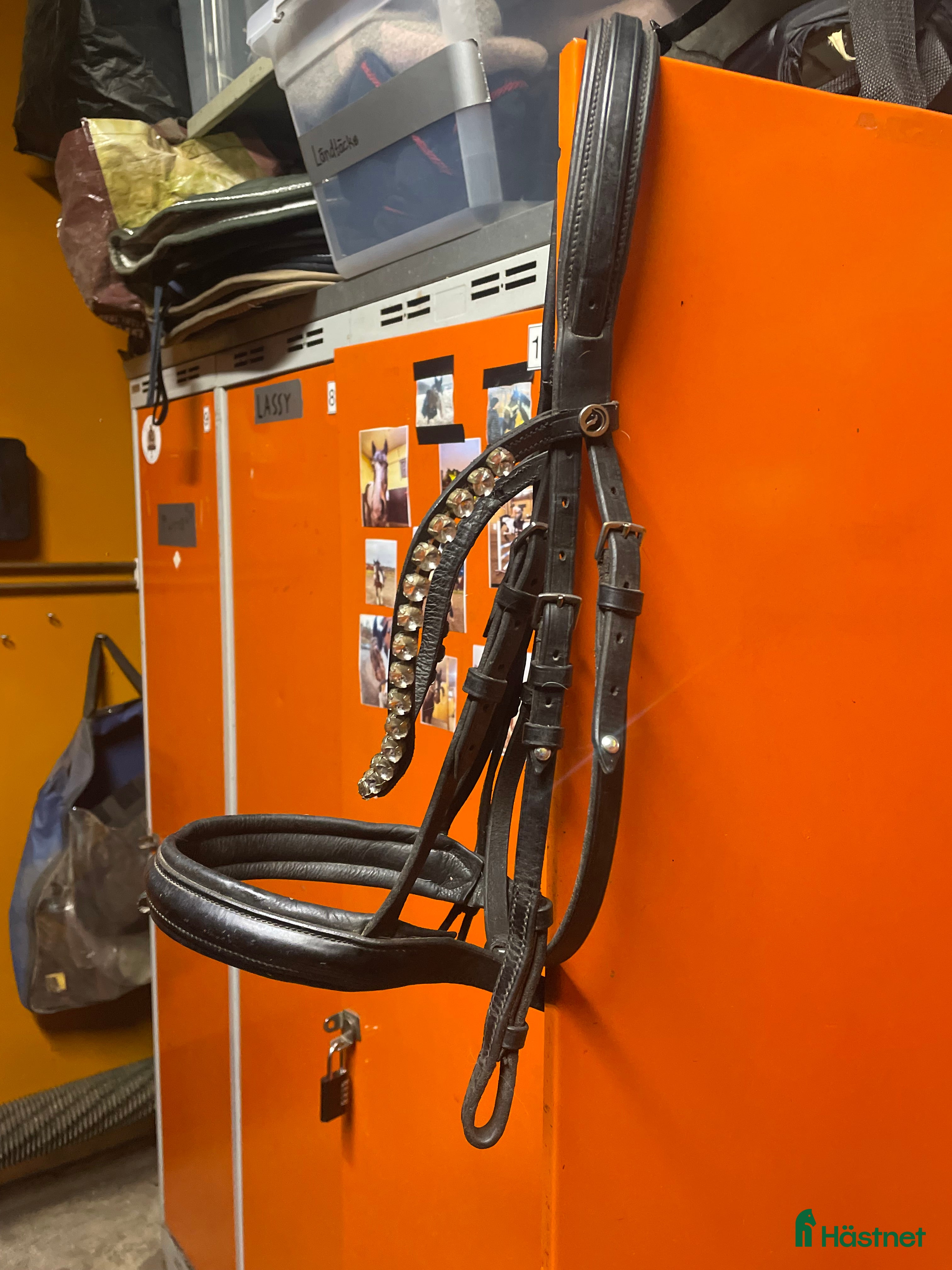 Träns hästutrustning till salu: Svart träns med strass i Tyresö - Annons 5