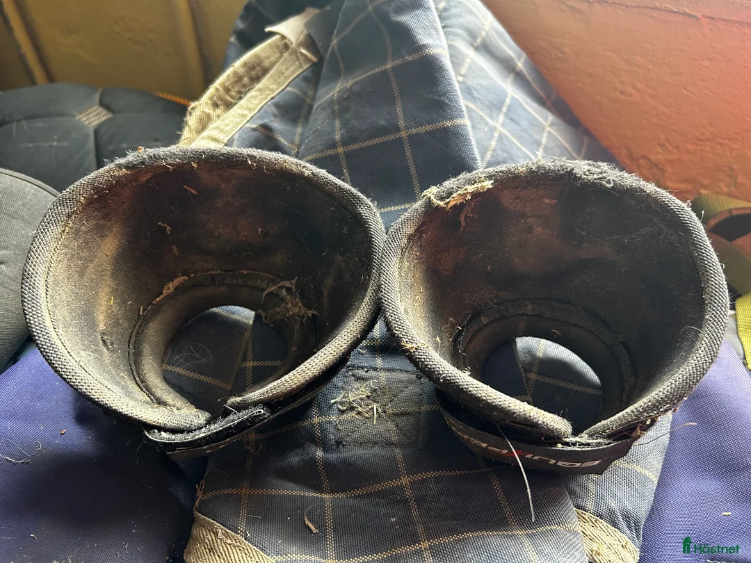 Benskydd hästutrustning till salu: Boots - Annons 2