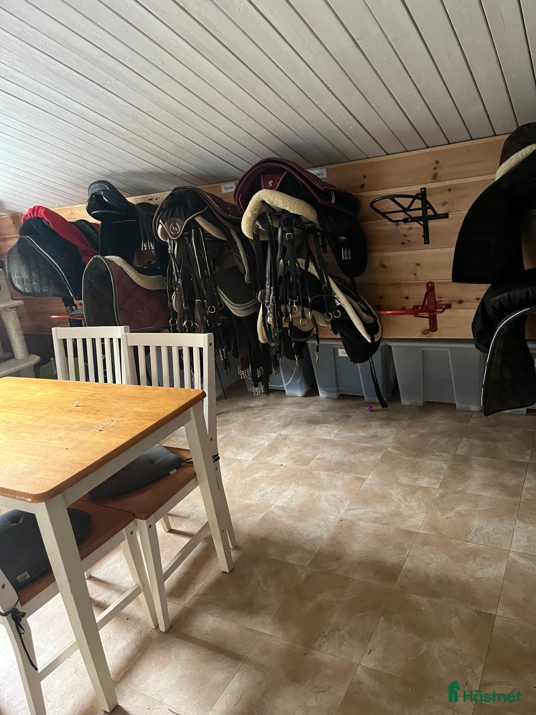  stallplats finnes: Boxplatser lediga på Halleröd Gård i Kungälv - Annons 3