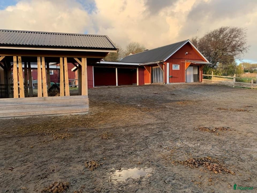  stallplats finnes: Lösdrift i Torslanda - Annons 3