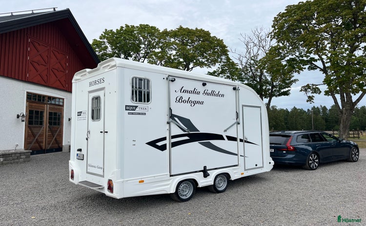 Hästtransporter  fordon & transport till salu i Tidaholm - Annons 8