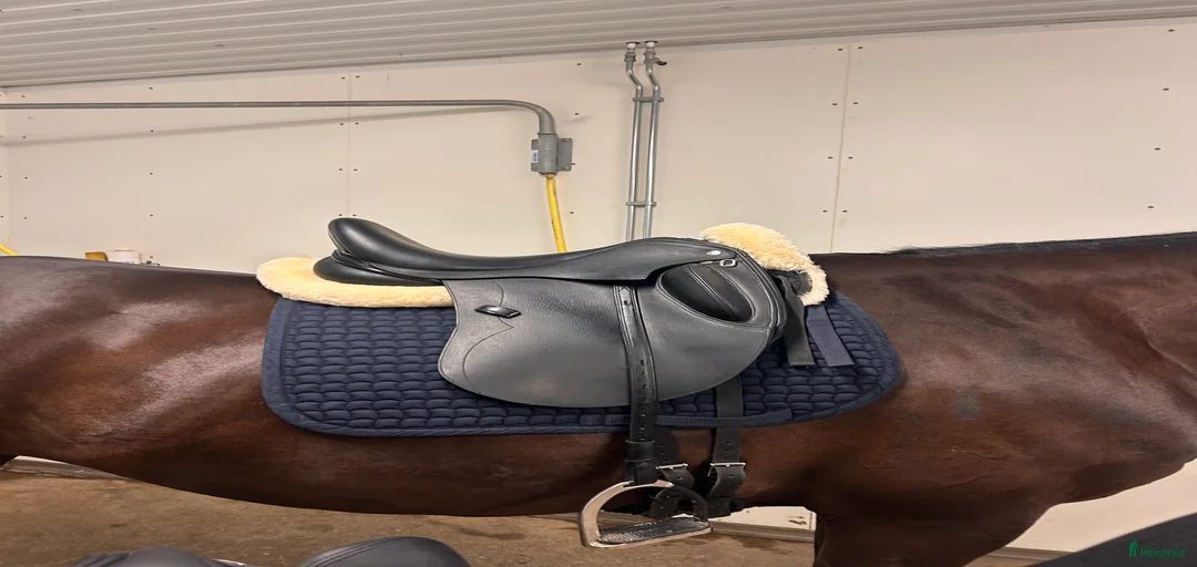 Galleribild {{count}}