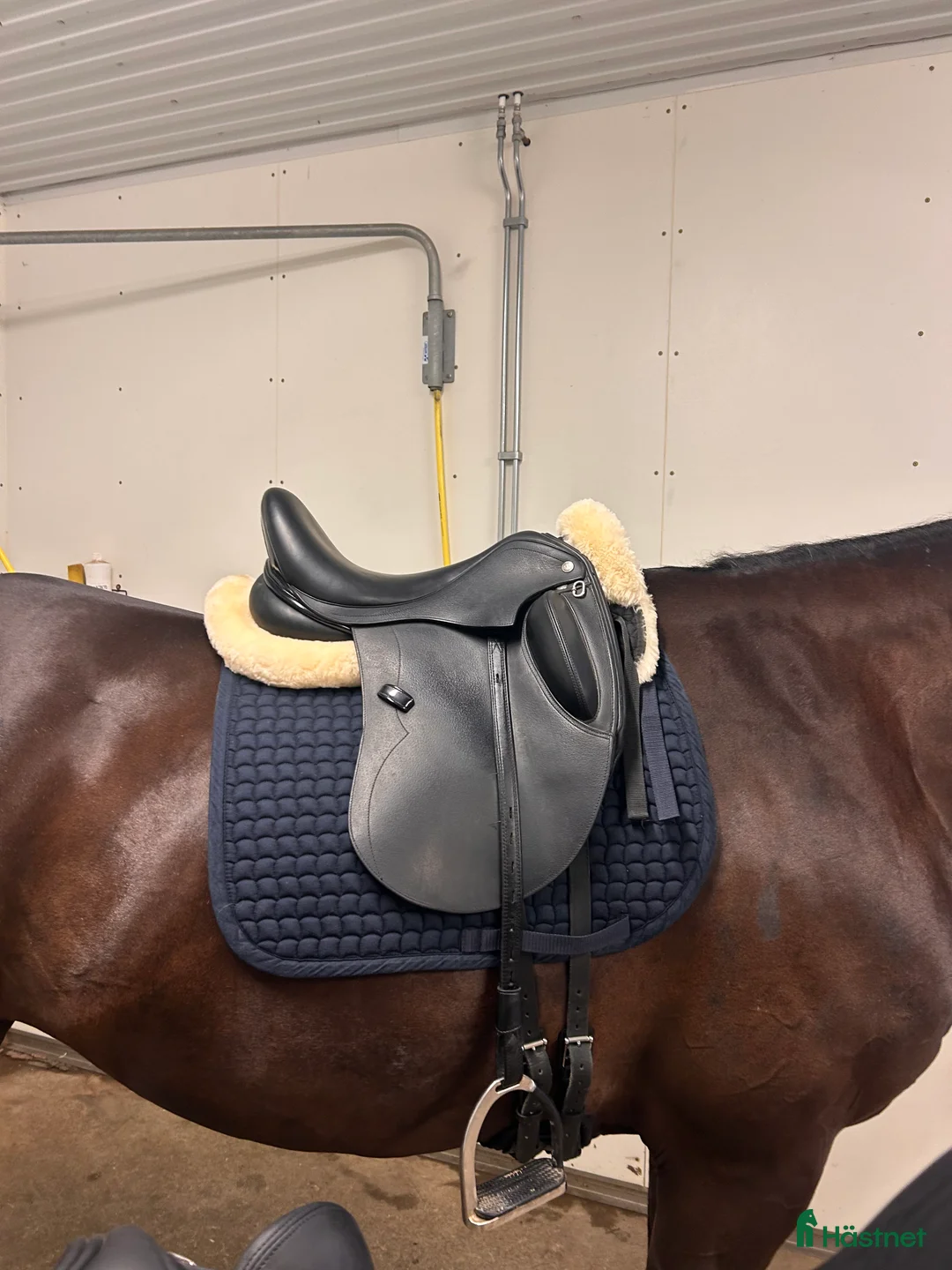 Galleribild {{count}}