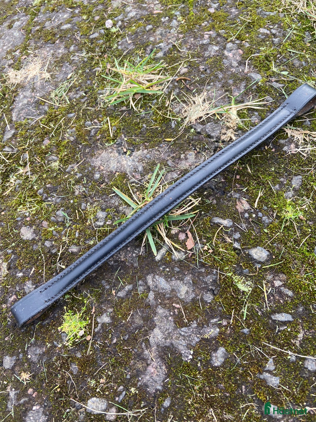 Övrig Hästutrustning hästutrustning till salu: Pannband till förbannelse i Skövde - Annons 2