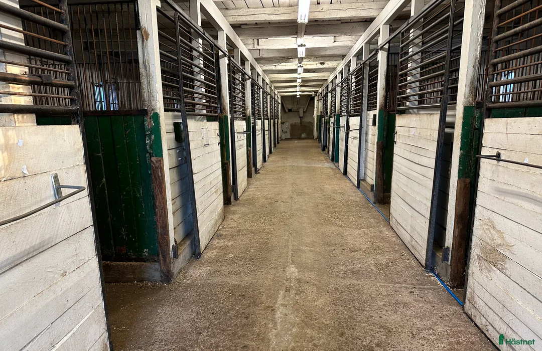  hästgårdar uthyres: Boxar/del av stall, 14 boxar i nordvästra Skåne i Össjö - Annons 6