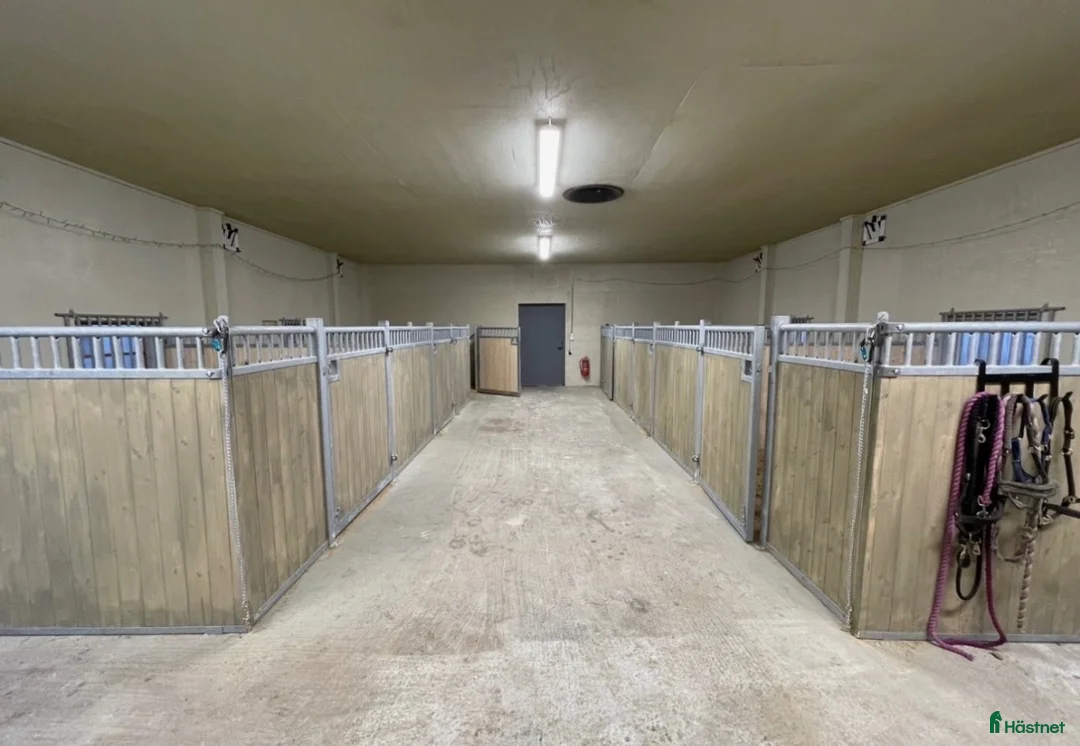  stallplats finnes: Stallplats och lösdrift islandshäst i Eskilstuna - Annons 2