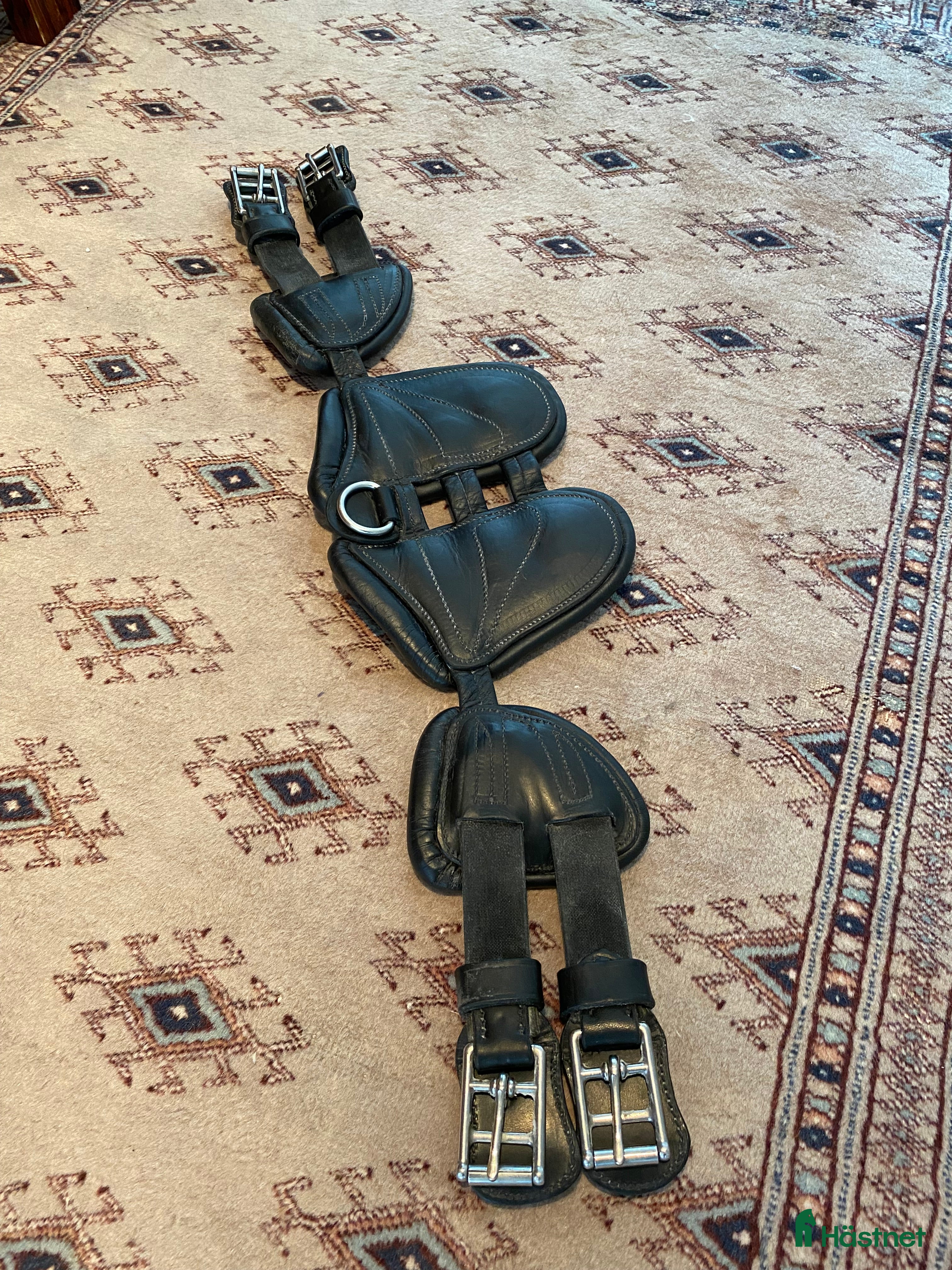 Sadeltillbehör hästutrustning Freedom dressyrgjord Scharf i Växjö - Annons 1