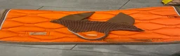 Schabrak & Vojlockar hästutrustning till salu: Orange Equestrian Stockholm schabrak inkl huva - Annons 4