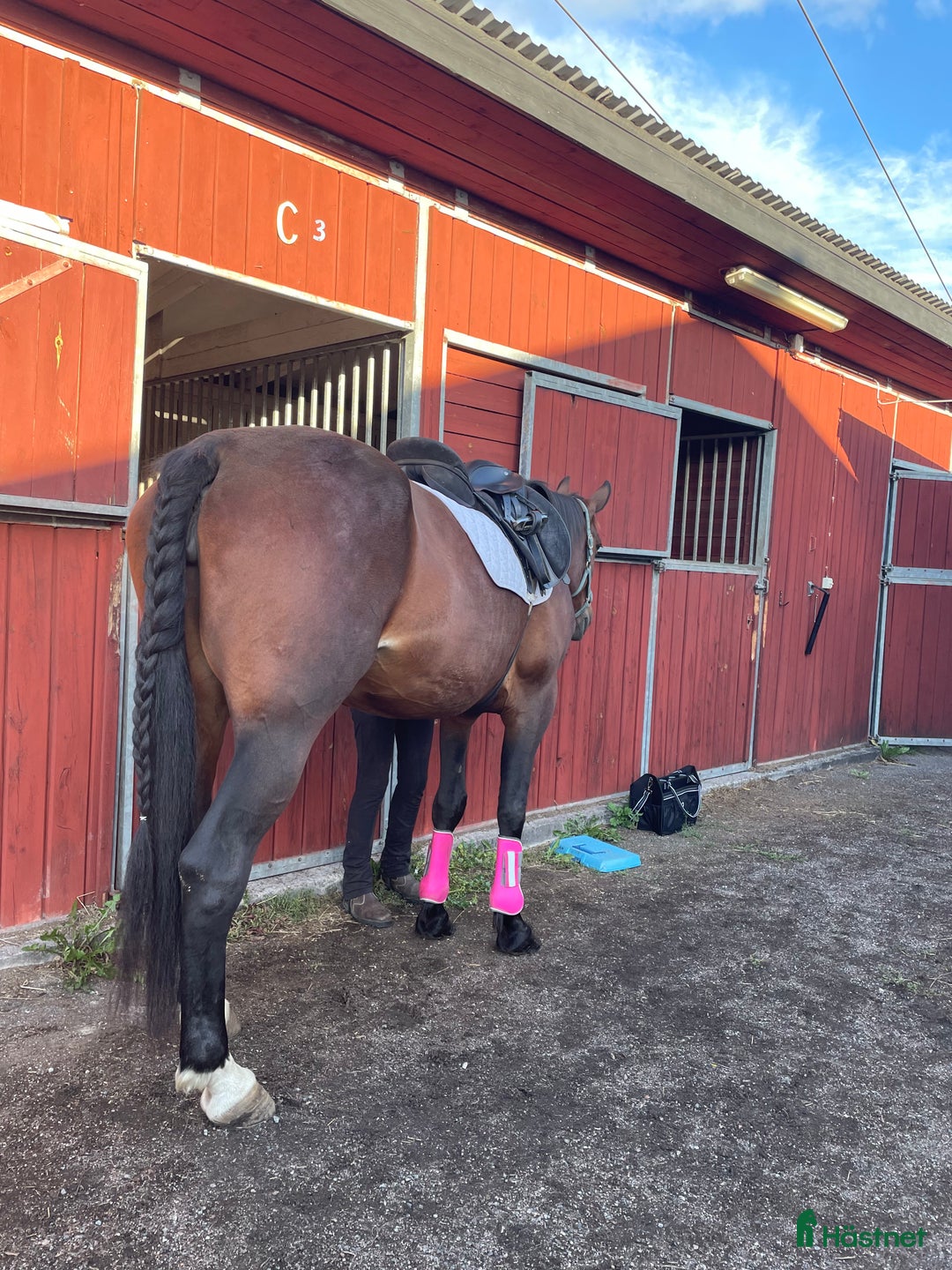  foderhäst finnes: Medryttare sökes till Ljusterö  i Bergshamra - Annons 3