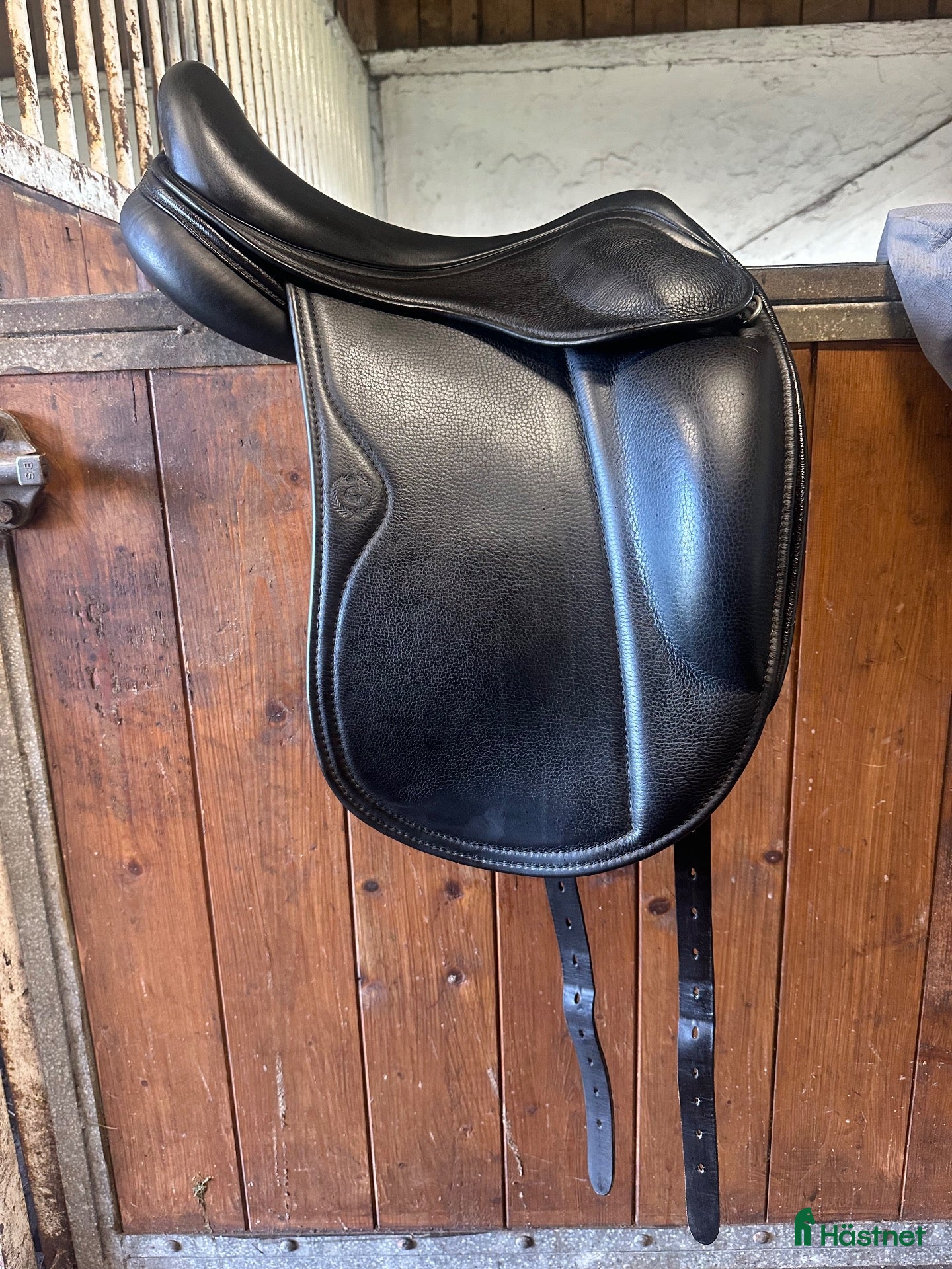 Sadlar hästutrustning EQUES Gold by Black Edition 17” Latex - Annons 16