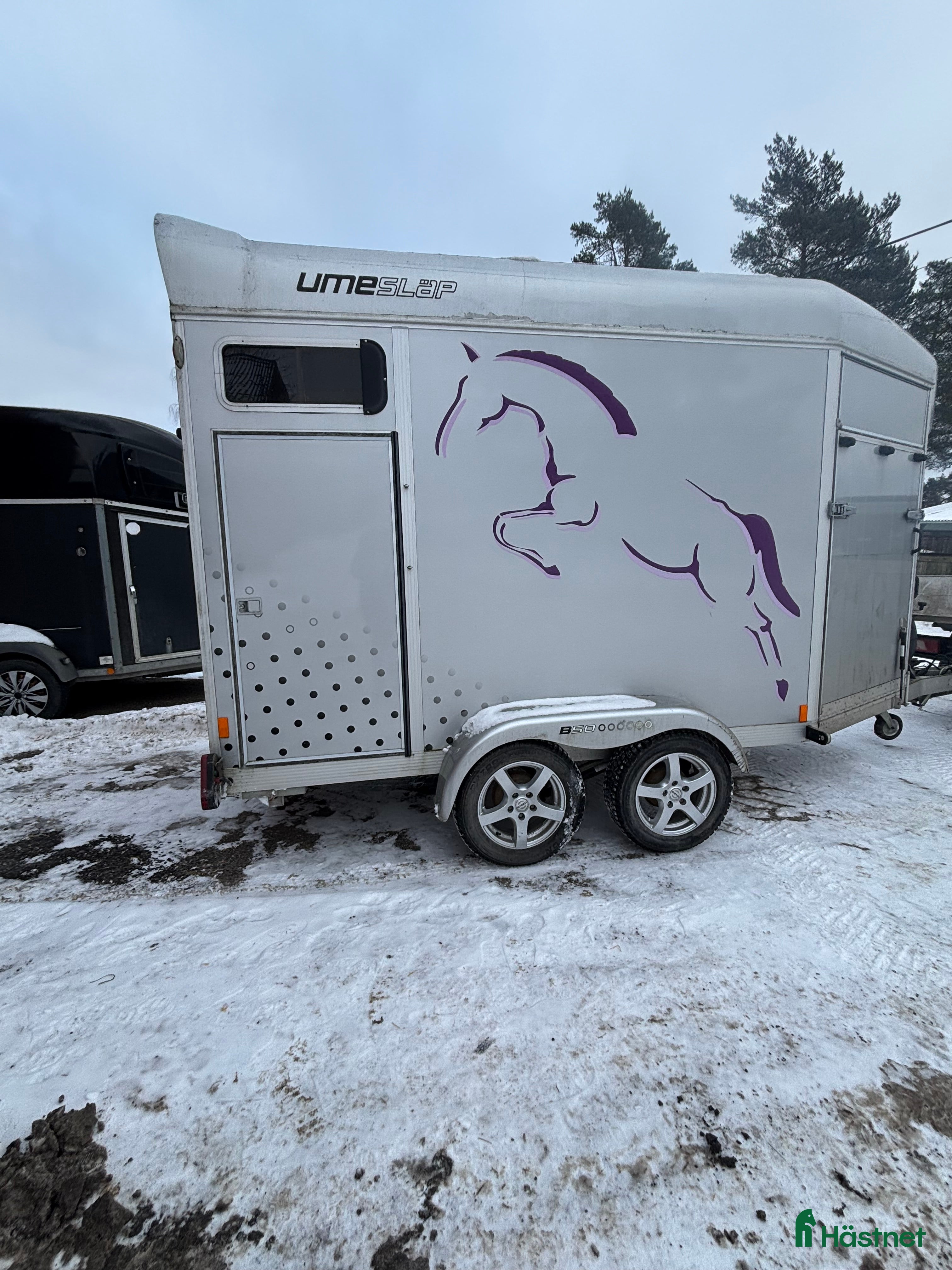 Hästtransporter  fordon & transport till salu: Bakåt åkande umesläp  - Annons 10