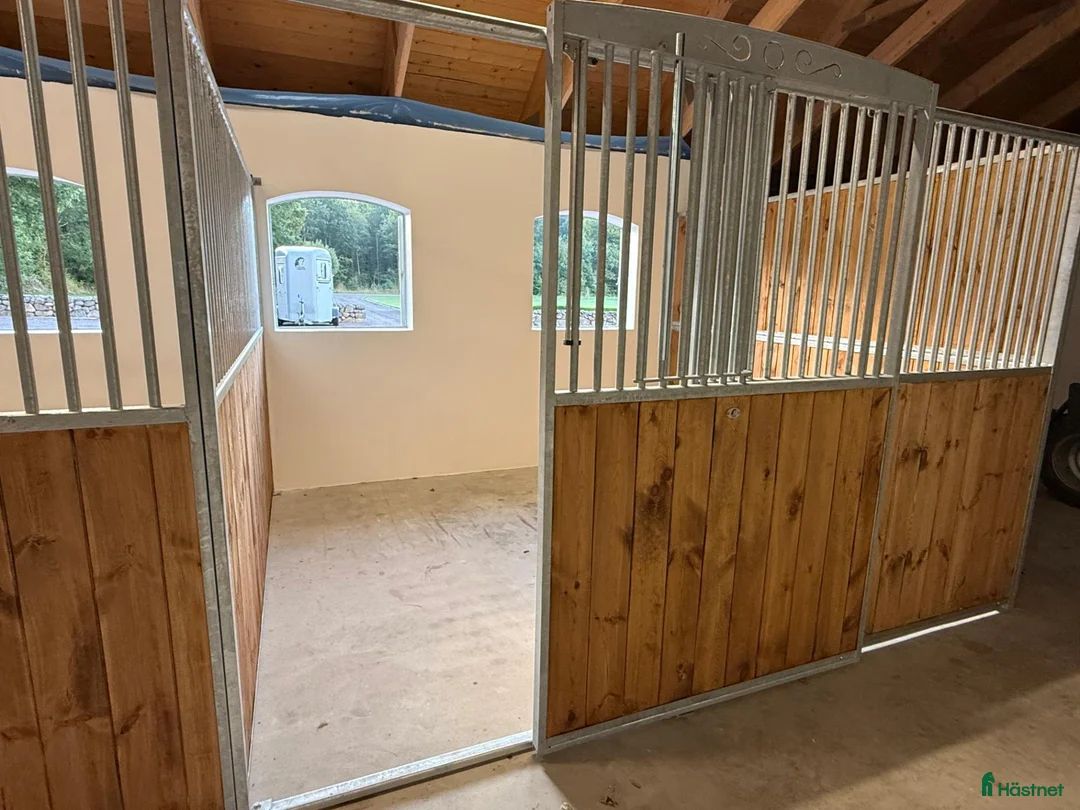  stallplats finnes: Boxplats i Kågeröd, nära Landskrona & Helsingborg - Annons 2