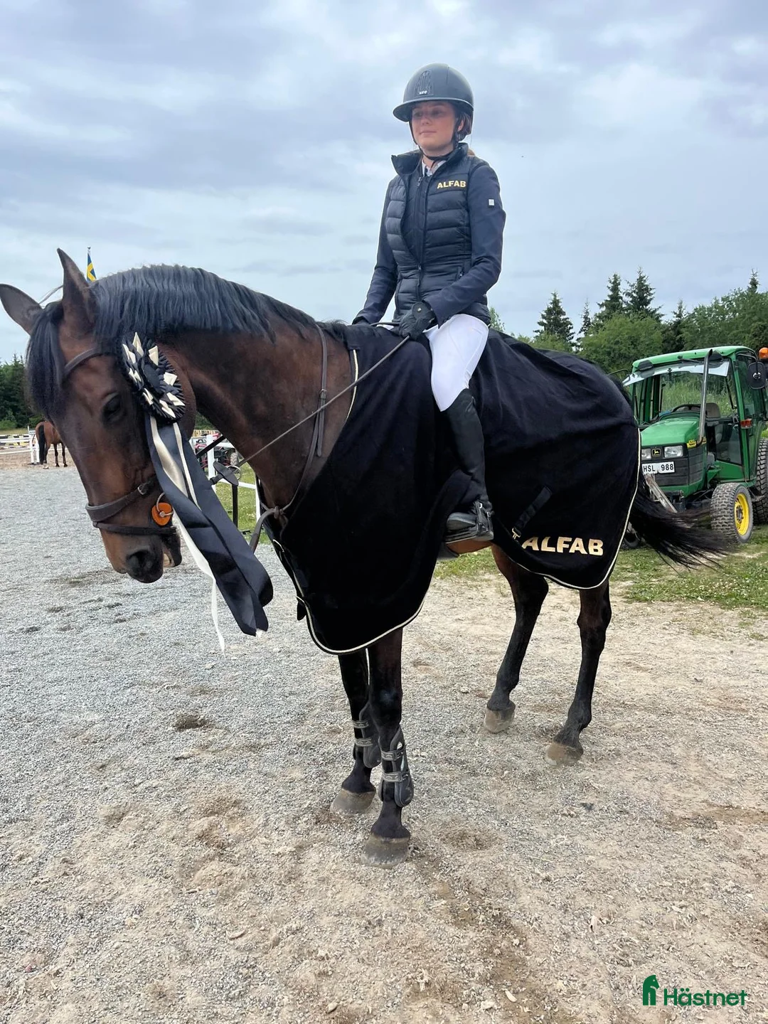 Hoppning hästar till salu: Children eller första storhäst i Västerås - Annons 2