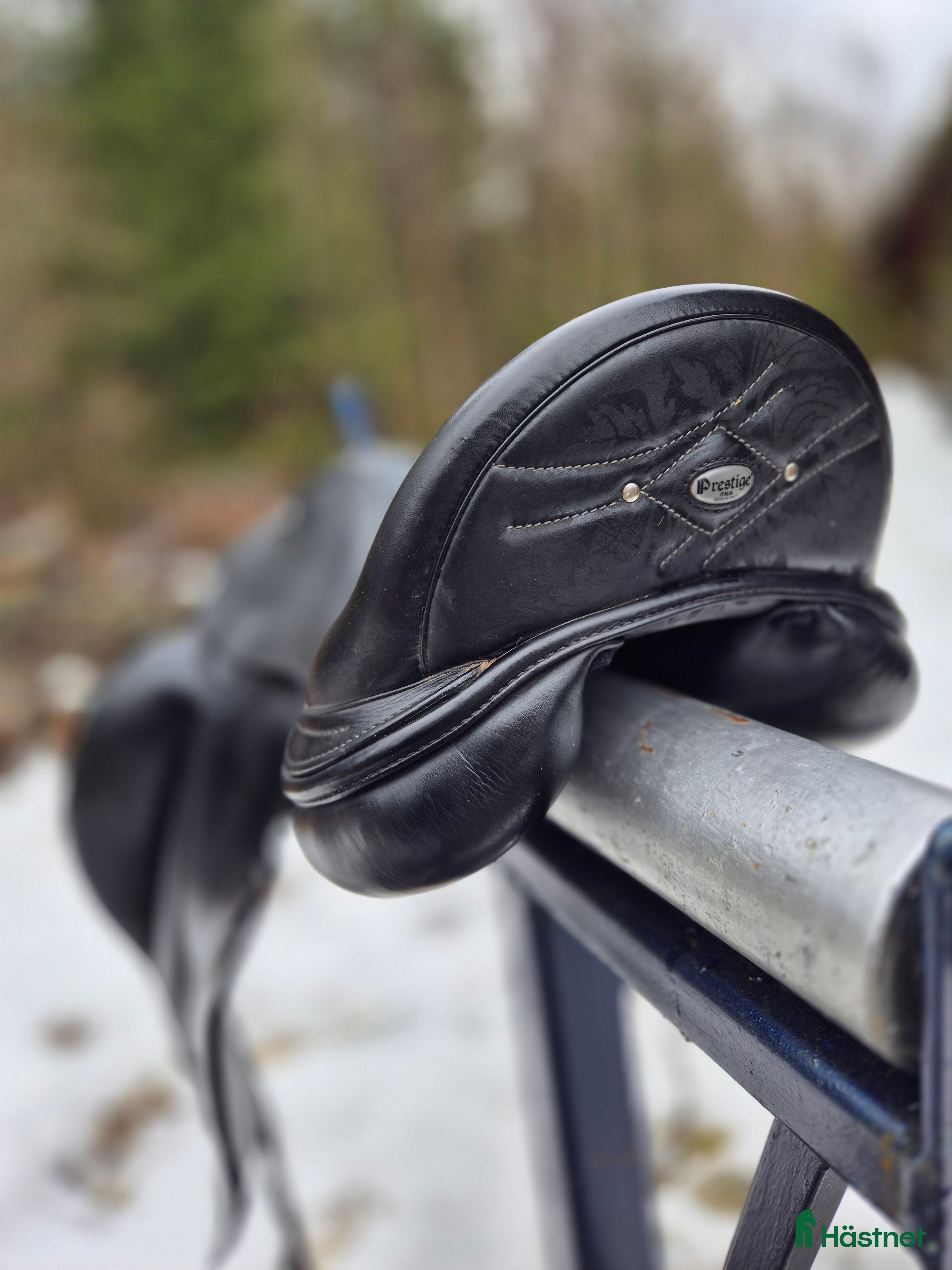 Sadlar hästutrustning Prestige Philosophy - Annons 3