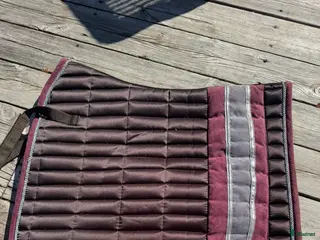 Schabrak & Vojlockar hästutrustning Fint dressyrschabrak - Annons 3