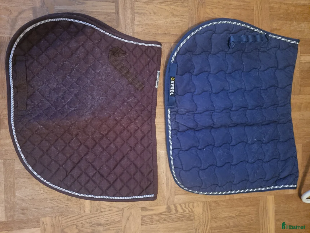 Schabrak & Vojlockar hästutrustning till salu: Schabrak full  i Nybro - Annons 2