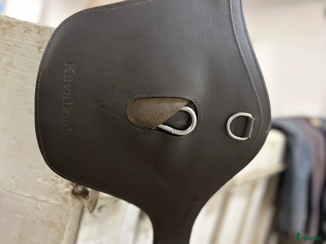 Sadeltillbehör hästutrustning till salu: Kavalkade sadelgjord med magplatta i Trelleborg - Annons 2