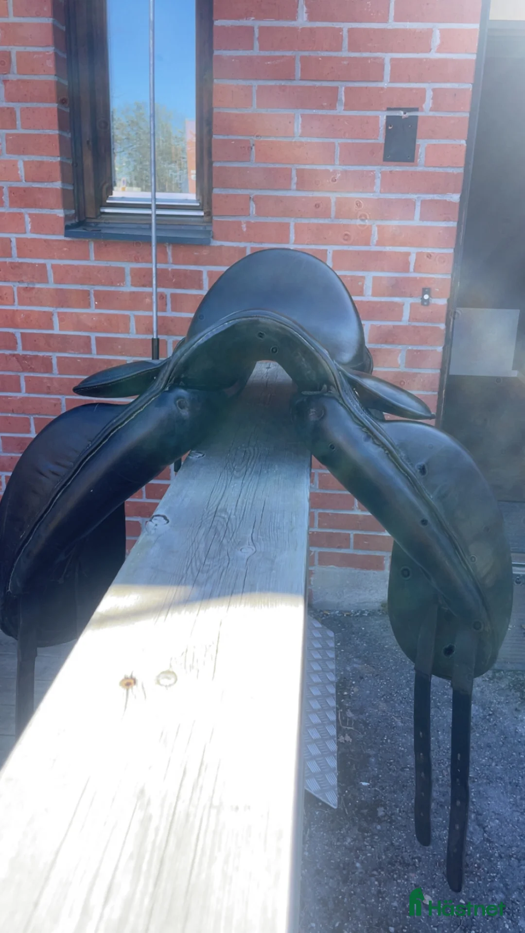 Sadlar hästutrustning till salu: Dressyrsadel Santa Cruz ! - Annons 6