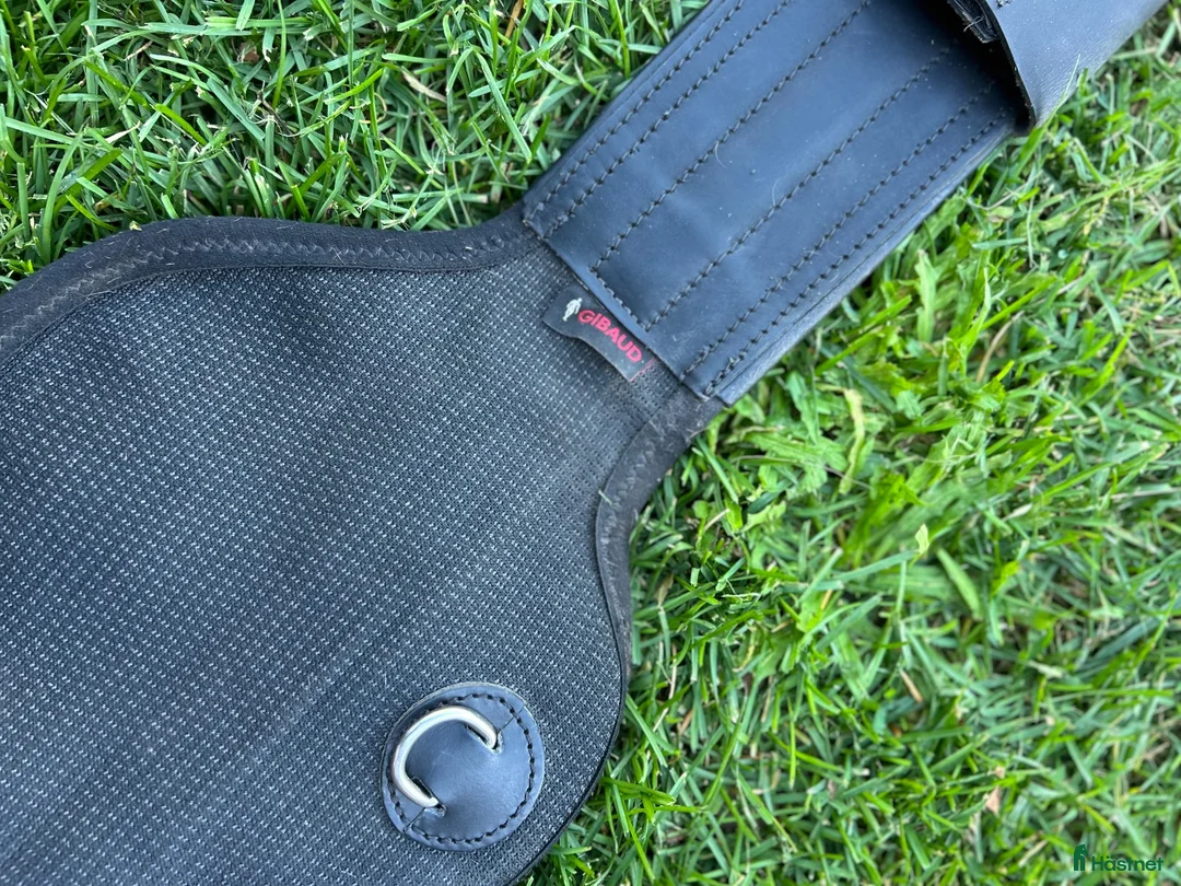 Sadeltillbehör hästutrustning till salu: ELT dressyrgjord 75cm - Annons 2