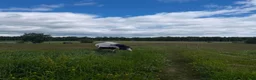  stallplats finnes: 1 Boxplats uthyres i Söderbärke - Annons 7