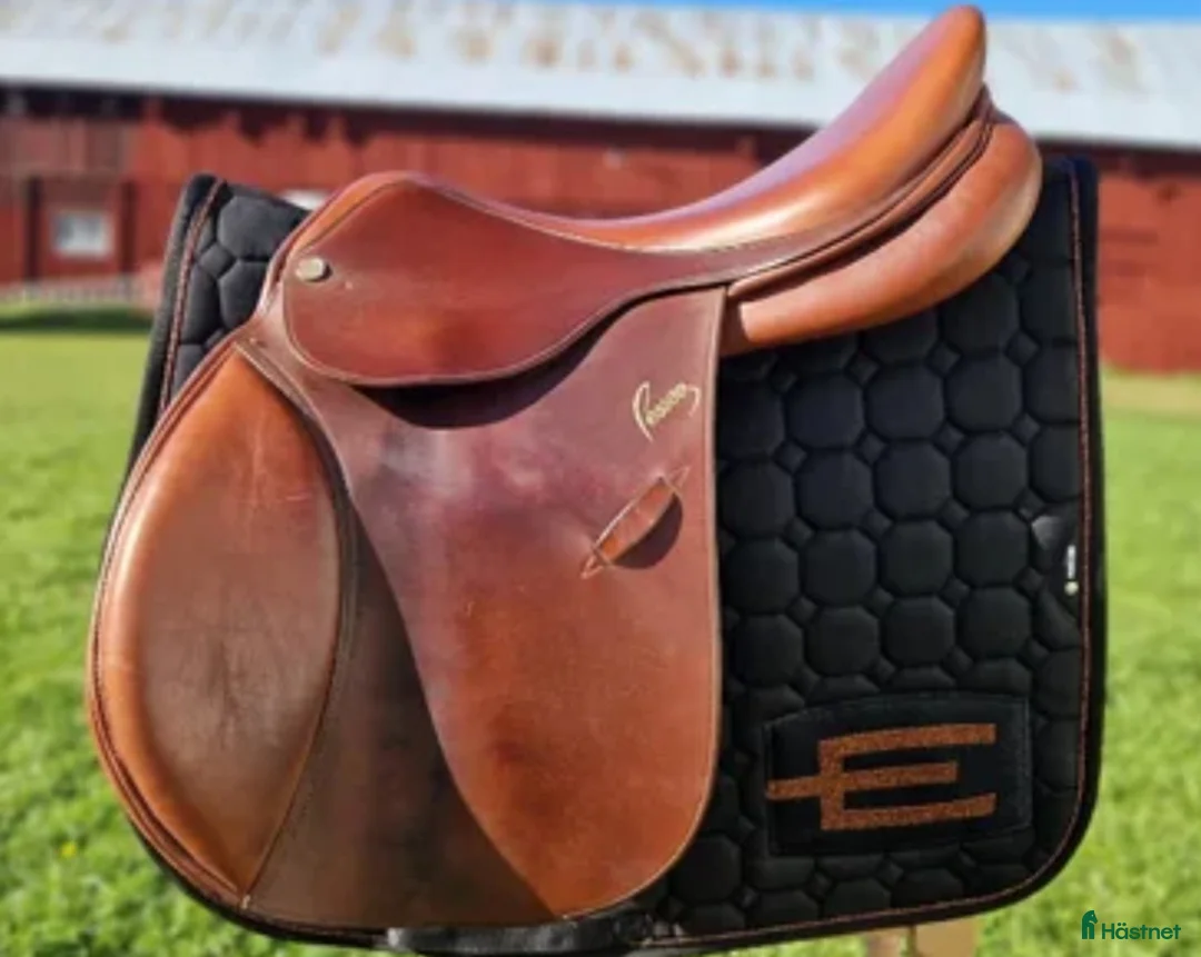 Schabrak & Vojlockar hästutrustning till salu: Equiline E-logga - Annons 4