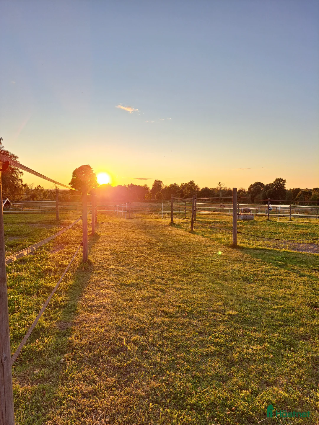  stallplats finnes: Lediga stallplats - Annons 2