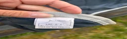 Täcken hästutrustning till salu: Liner innetäcke - Annons 2