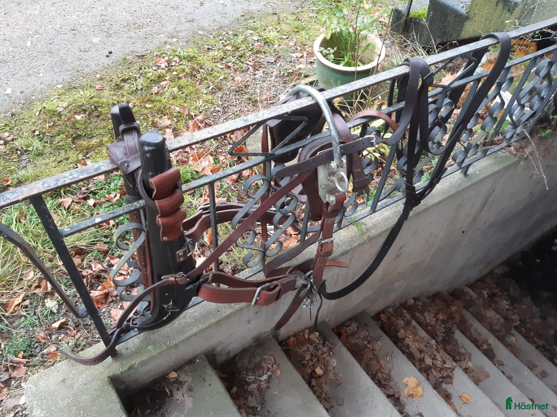 Körselar körning till salu: Loksele inkl. baksele - Annons 3