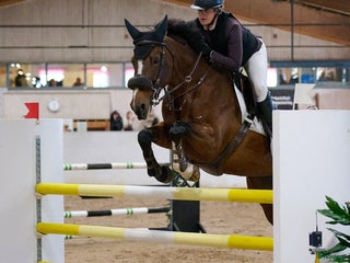 hästar 10 årigt sto med plac 130- kapacitet för mer! i Täby - Annons 14