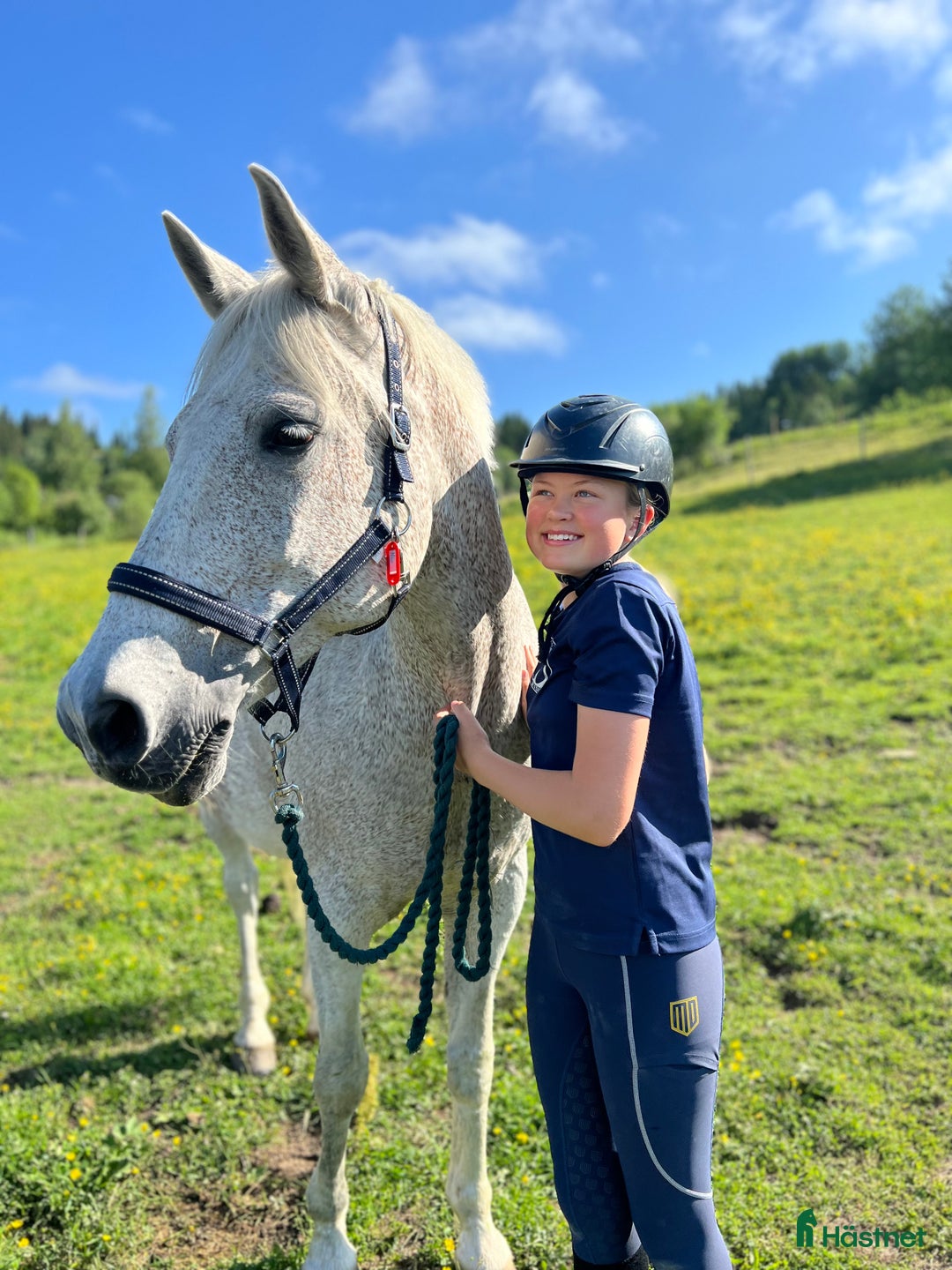 Allround hästar till salu: Vacker herre med hjärta av guld.  i Åre - Annons 3