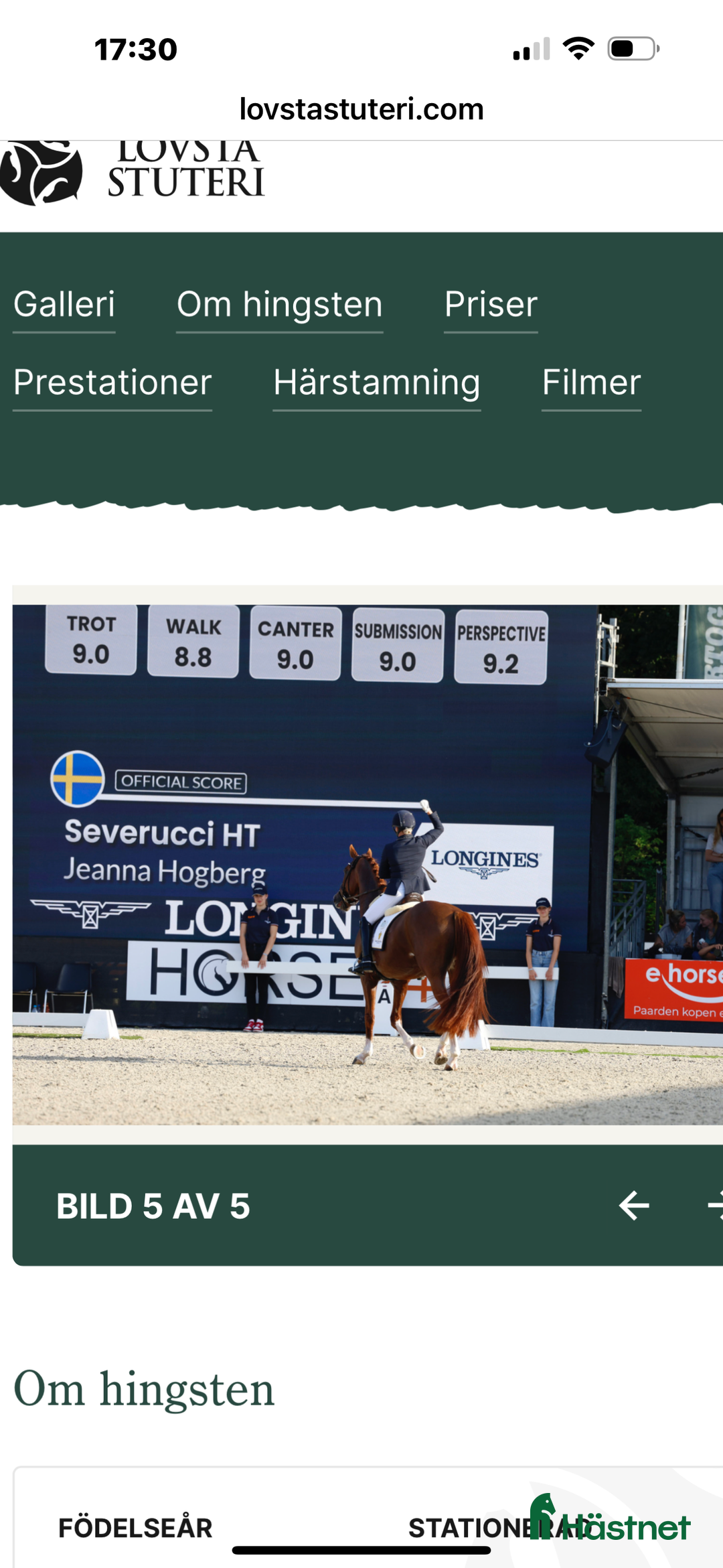  hästjobb finnes: Helgjobb på ett professionellt  dressyrstall i Ekolsund - Annons 1