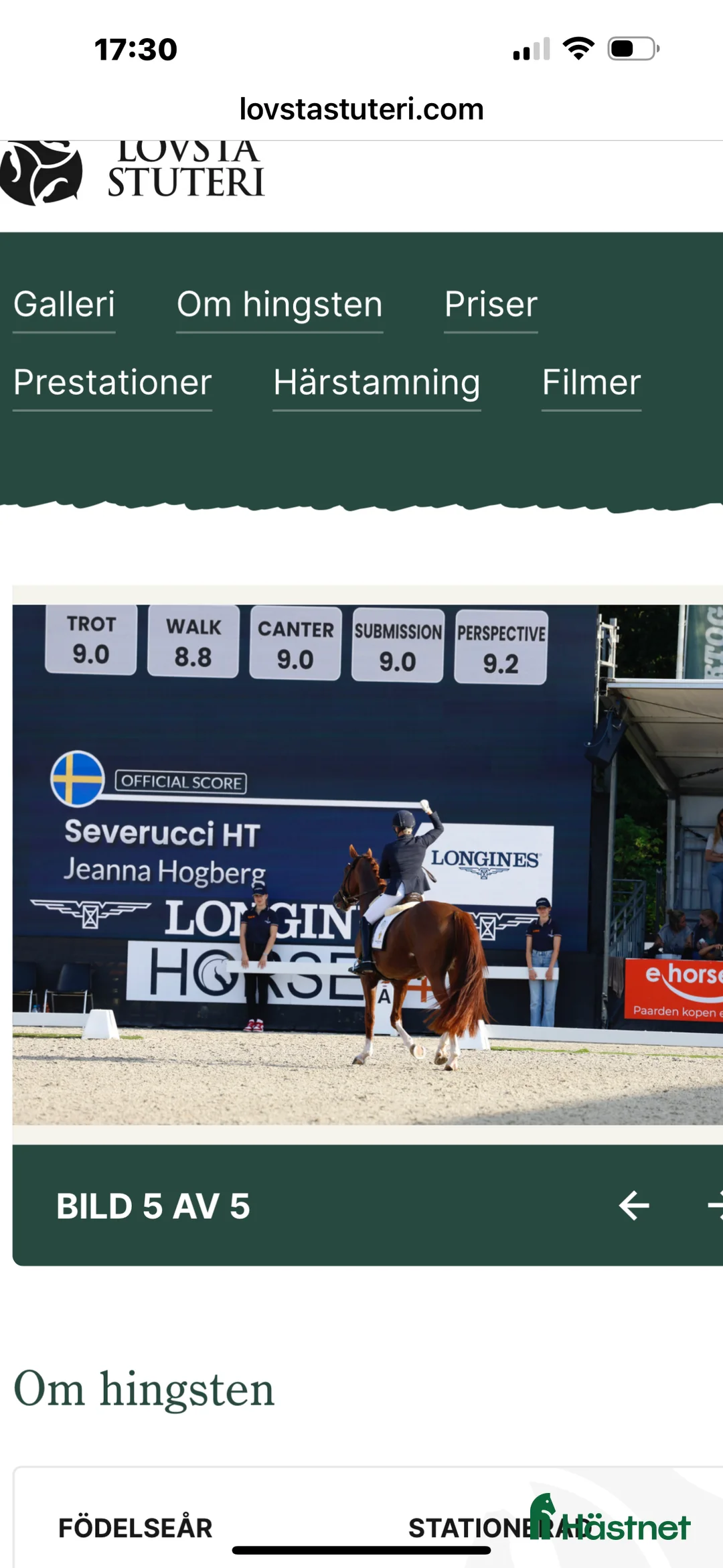  hästjobb finnes: Helgjobb på ett professionellt  dressyrstall i Ekolsund - Annons 1