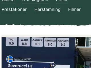 hästjobb Helgjobb på ett professionellt dressyrstall i Ekolsund - Annons 15