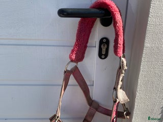 Övrig Hästutrustning hästutrustning till salu: Rosa fluff mulle grimma💕 i Hammarö - Annons 22