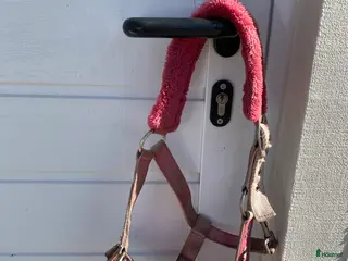 Övrig Hästutrustning hästutrustning Rosa fluff mulle grimma💕 - Annons 12