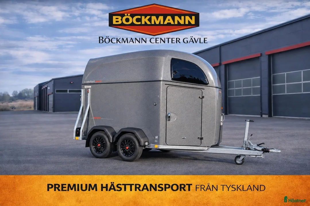 Hästtransporter  fordon & transport till salu: Böckmann Comfort Esprit –DEMOVAGN–5 000 kr rabatt! - Annons 1