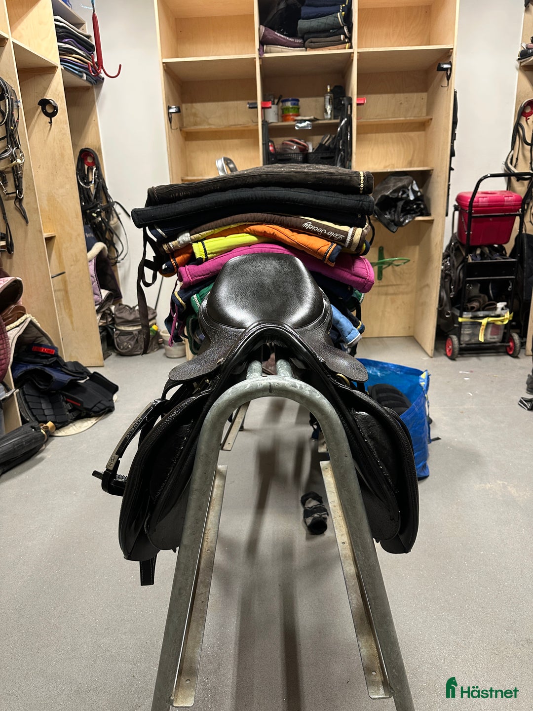 Sadlar hästutrustning till salu: Globus Esperanza i Bengtsfors - Annons 2