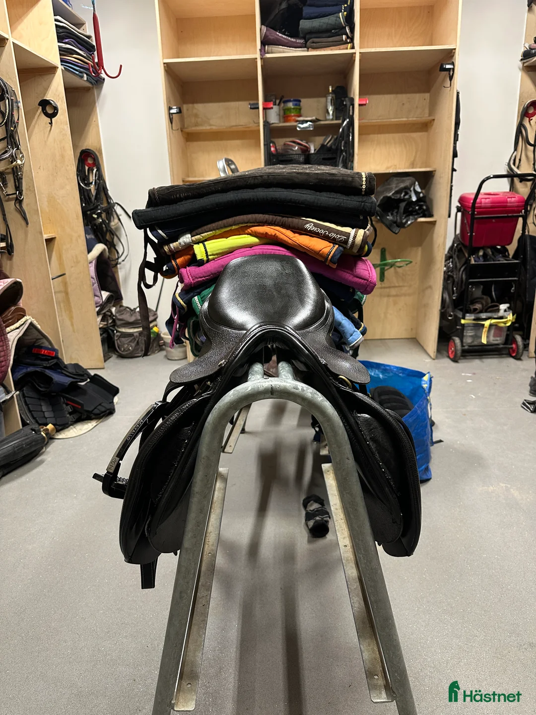 Sadlar hästutrustning till salu: Globus Esperanza i Bengtsfors - Annons 2