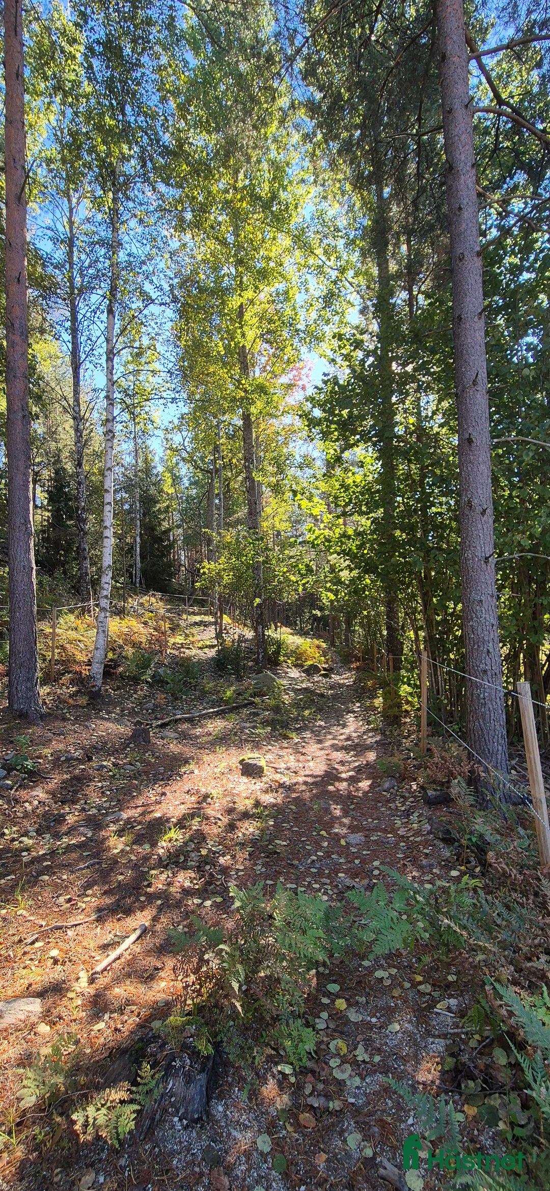  stallplats finnes: Stallplats för lättfödd i Tullinge  i Tullinge - Annons 3