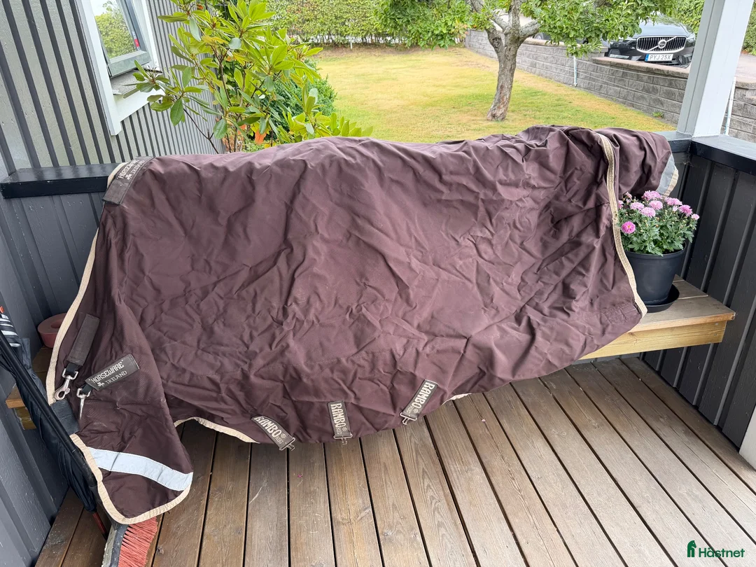 Täcken hästutrustning till salu: Horseware Rambo 100g storlek 145 (6,6) - Annons 2