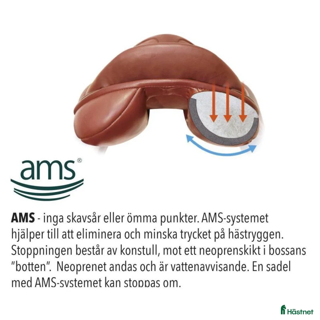 Sadlar hästutrustning till salu: Pessoa Amo 17,5”/MW - Annons 3