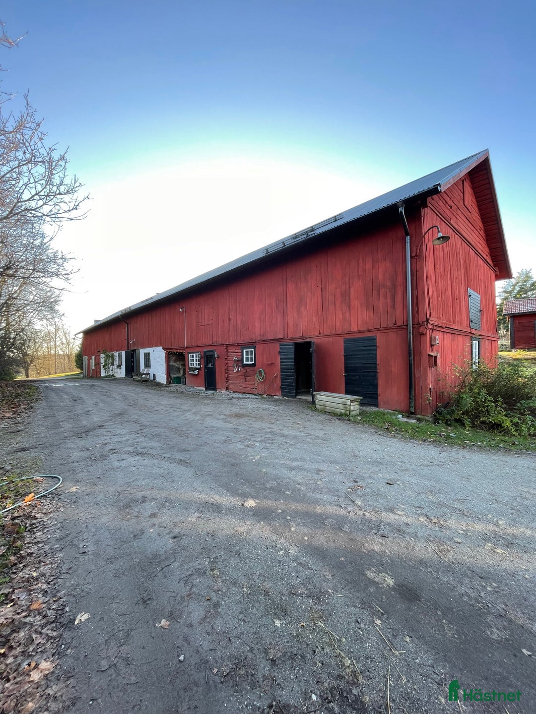 Allround hästar sökes: Söker en bästa vän<3 i Norrtälje - Annons 2