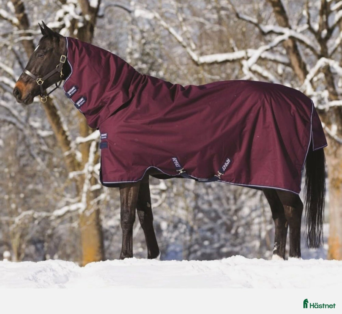 Täcken hästutrustning till salu: Horseware vintertäcke 140 i Båstad - Annons 5