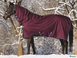 Täcken hästutrustning till salu: Horseware vintertäcke 140 i Båstad - Annons 5