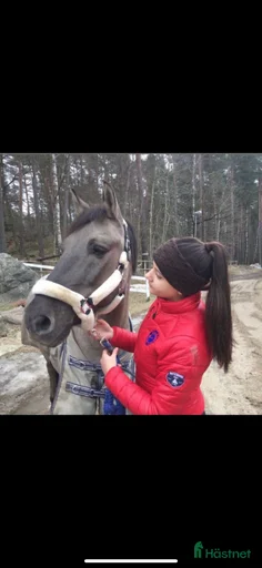 Galleribild {{count}}